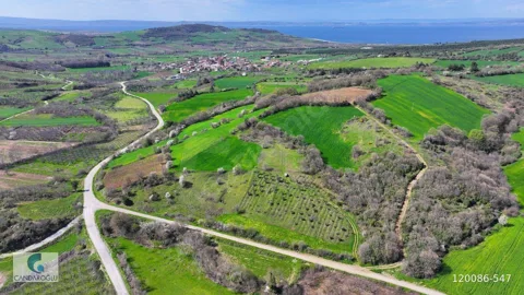 ÇANAKKALE LAPSEKİ ALPAGUT SATILIK MUSTAKİL TARLA