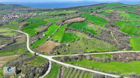 ÇANAKKALE LAPSEKİ ALPAGUT SATILIK MUSTAKİL TARLA