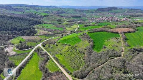 ÇANAKKALE LAPSEKİ ALPAGUT SATILIK MUSTAKİL TARLA