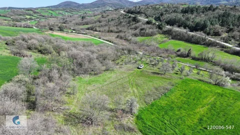 ÇANAKKALE LAPSEKİ ALPAGUT SATILIK MUSTAKİL TARLA