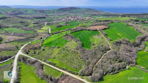 ÇANAKKALE LAPSEKİ ALPAGUT SATILIK MUSTAKİL TARLA