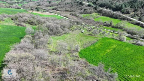 ÇANAKKALE LAPSEKİ ALPAGUT SATILIK MUSTAKİL TARLA