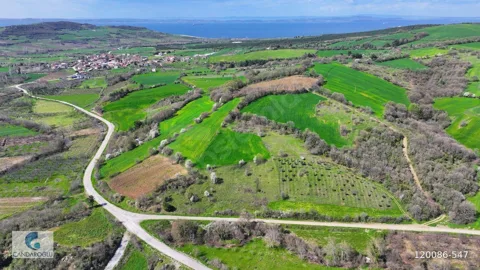 ÇANAKKALE LAPSEKİ ALPAGUT SATILIK MUSTAKİL TARLA