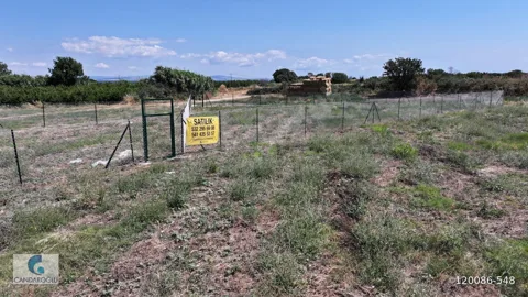 ÇANAKKALE LAPSEKİ ÇARDAK ZİNCİRBOZAN DENİZE YÜRÜME MESAFESİ ARSA