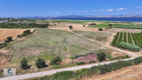 ÇANAKKALE LAPSEKİ ÇARDAK ZİNCİRBOZAN DENİZE YÜRÜME MESAFESİ ARSA