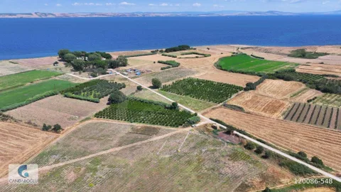 ÇANAKKALE LAPSEKİ ÇARDAK ZİNCİRBOZAN DENİZE YÜRÜME MESAFESİ ARSA