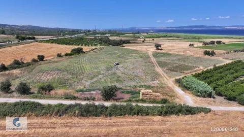 ÇANAKKALE LAPSEKİ ÇARDAK ZİNCİRBOZAN DENİZE YÜRÜME MESAFESİ ARSA