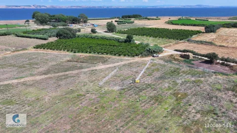 ÇANAKKALE LAPSEKİ ÇARDAK ZİNCİRBOZAN DENİZE YÜRÜME MESAFESİ ARSA