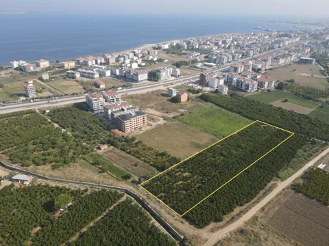 SARI ALAN İÇERİSİNDE 6804 m² DENİZE 500 m SATILIK ARAZİ