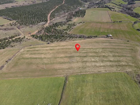 ÇANAKKALE LAPSEKİ ALPAGUT KÖYÜ 109 ADA 66 PARSEL 16.687 m² K