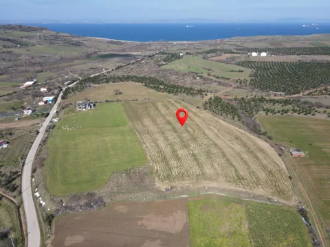 ÇANAKKALE LAPSEKİ ALPAGUT KÖYÜ 109 ADA 66 PARSEL 16.687 m² K