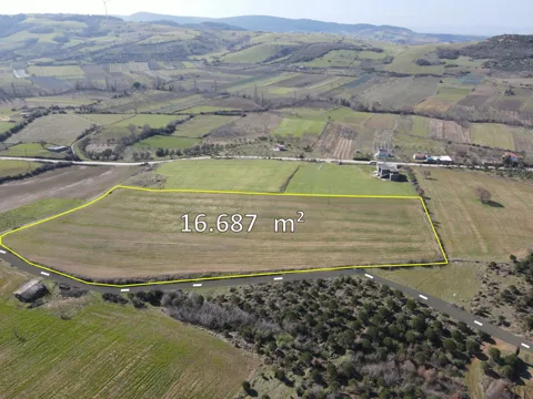 ÇANAKKALE LAPSEKİ ALPAGUT KÖYÜ 109 ADA 66 PARSEL 16.687 m² K