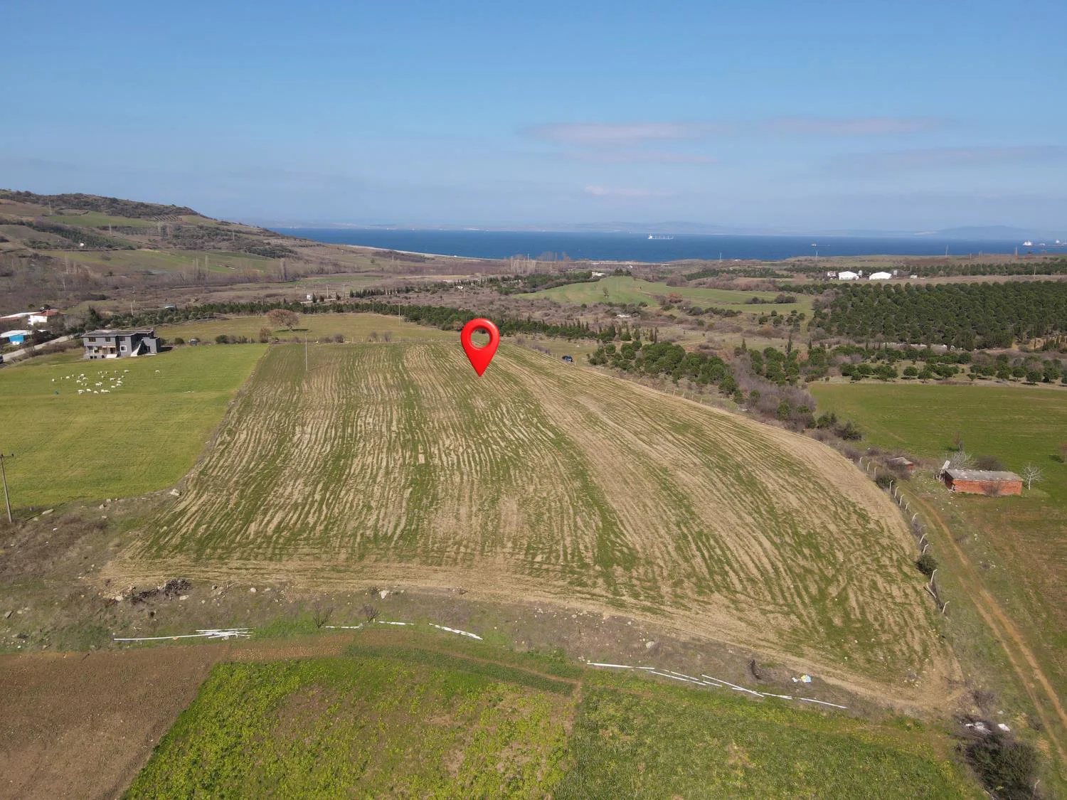 ÇANAKKALE LAPSEKİ ALPAGUT KÖYÜ 109 ADA 66 PARSEL 16.687 m² K