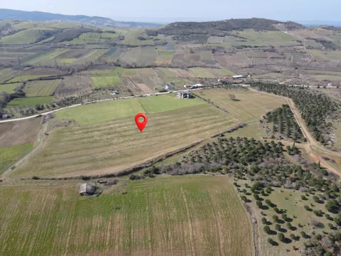 ÇANAKKALE LAPSEKİ ALPAGUT KÖYÜ 109 ADA 66 PARSEL 16.687 m² K