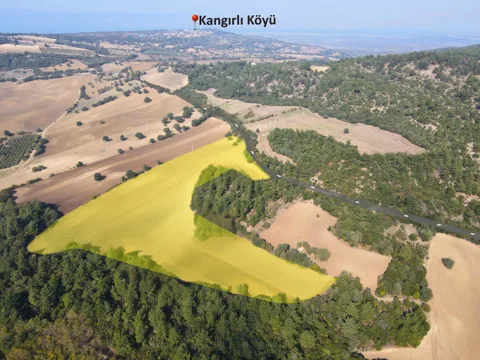 ÇANAKKALE 39.025M² TARLA DENİZ MANZARALI ORMANA SINIR KOOPERATİF YAPILABİLİR