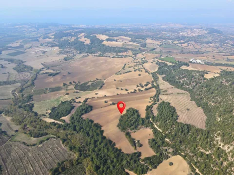 ÇANAKKALE 39.025M² TARLA DENİZ MANZARALI ORMANA SINIR KOOPERATİF YAPILABİLİR