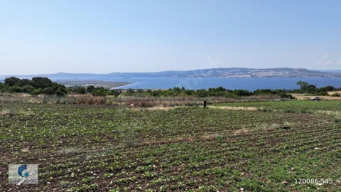 ÇANAKKALE LAPSEKİ SULUCA BOĞAZ VE KÖPRÜ MANZARALI SATILIK TARLA